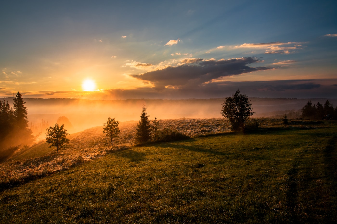 Sunrise breaking over a calm, misty meadow